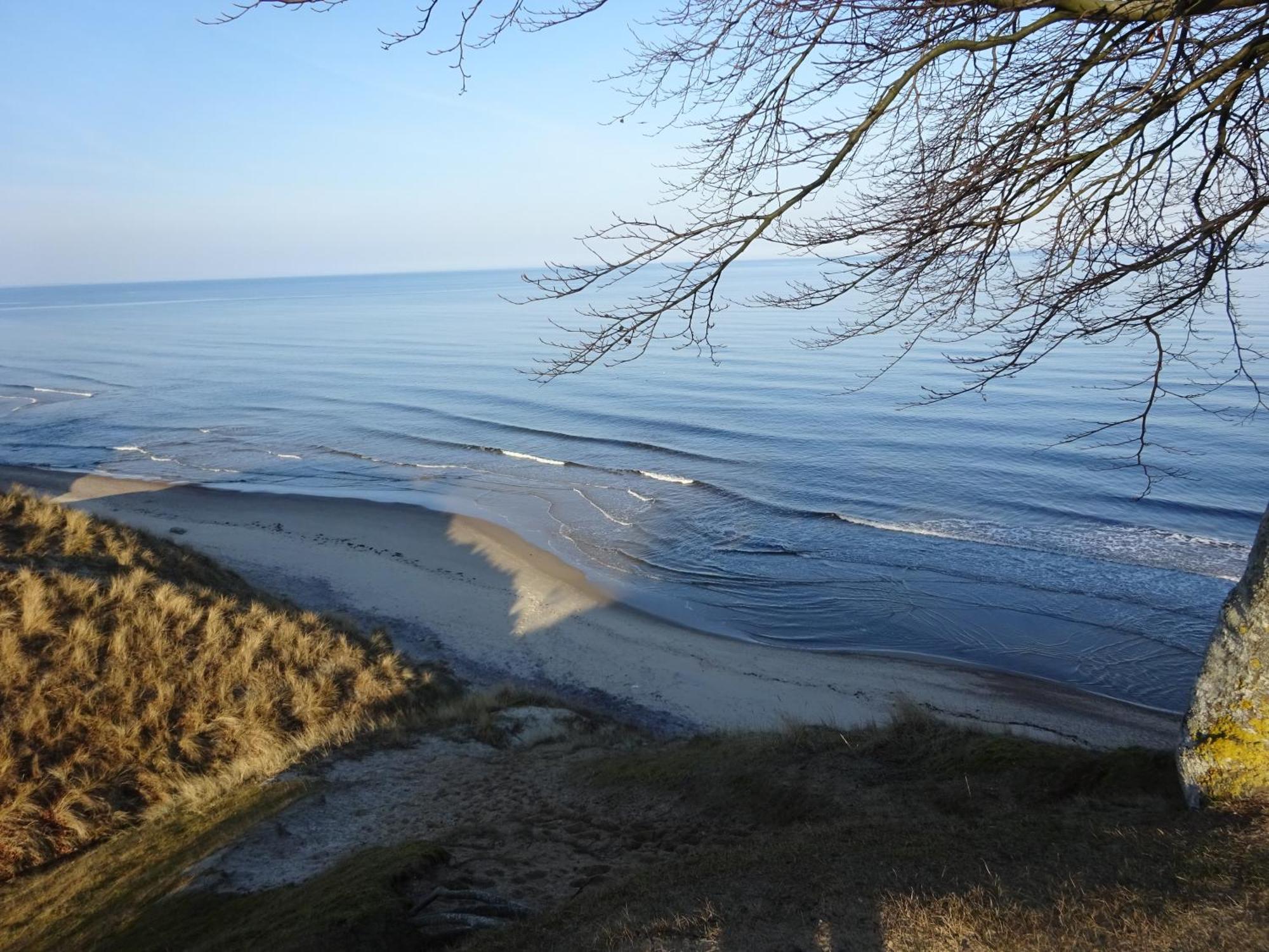 Solrosen I Simrishamn - Oesterlen Buitenkant foto