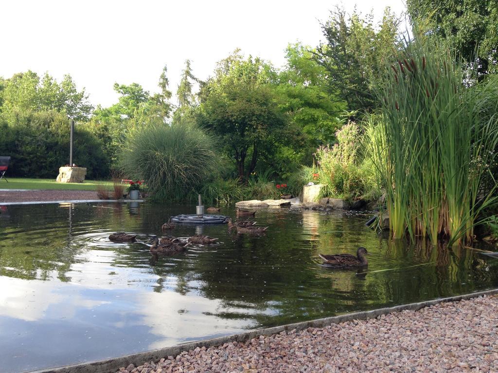 Solrosen I Simrishamn - Oesterlen Buitenkant foto
