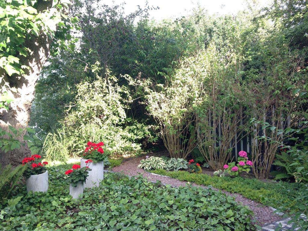Solrosen I Simrishamn - Oesterlen Buitenkant foto